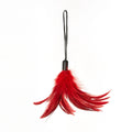 Sportsheets Pleasure Feather Tickler Red by Sportsheets