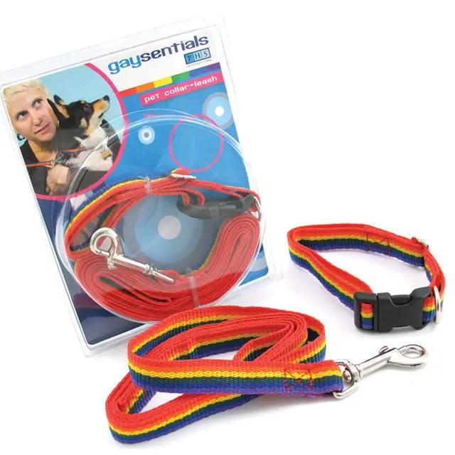 GS Pet Combo Leash/Collar (Medium) by PHS International