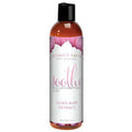Intimate Earth Soothe Anal Anti-Bacterial Glide 60 ml/2 oz by Intimate Earth