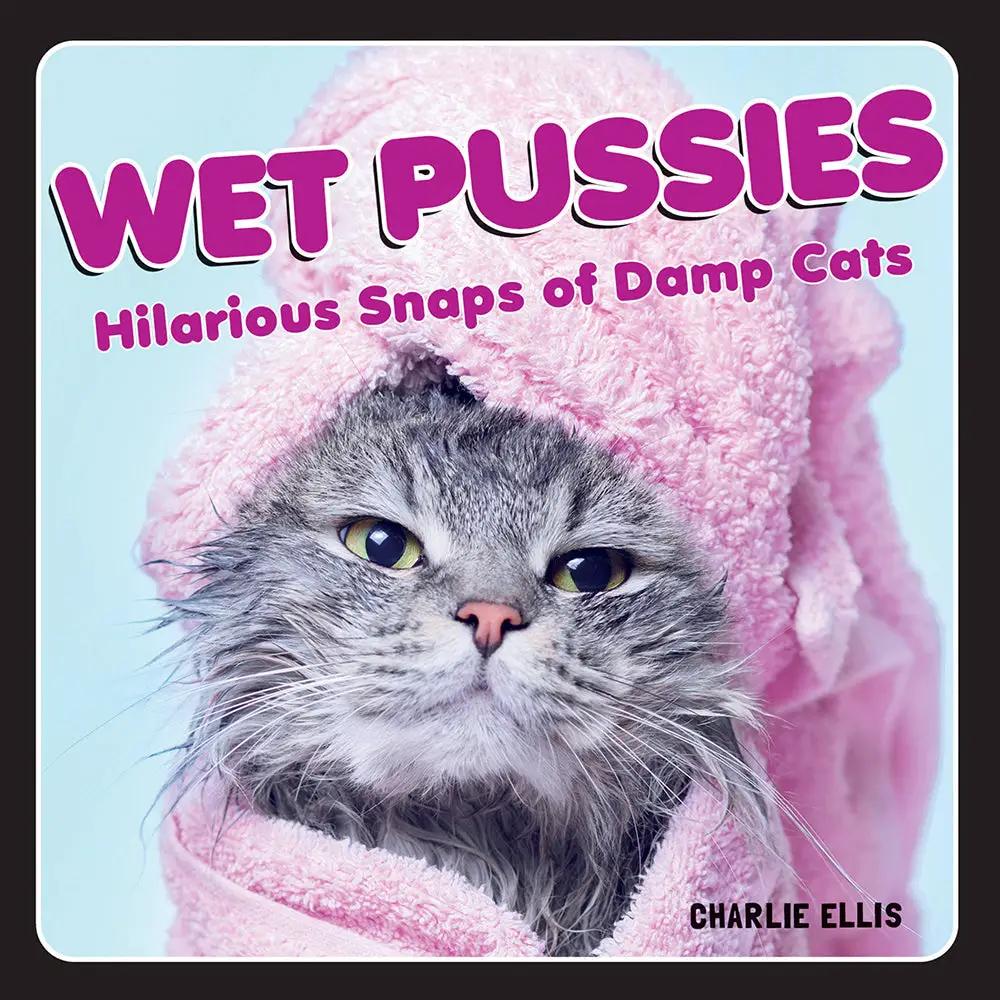 Wet Pussies: Hilarious Snaps of Damp Cats by Hachette