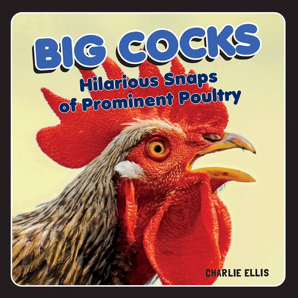 Big Cocks: Hilarious Snaps of Prominent Poultry by Hachette