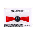 Sportsheets Sex & Mischief Amor Satin Ball Gag by Sportsheets
