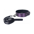 Galaxy Legend Collar and Leash Purple by Spartacus